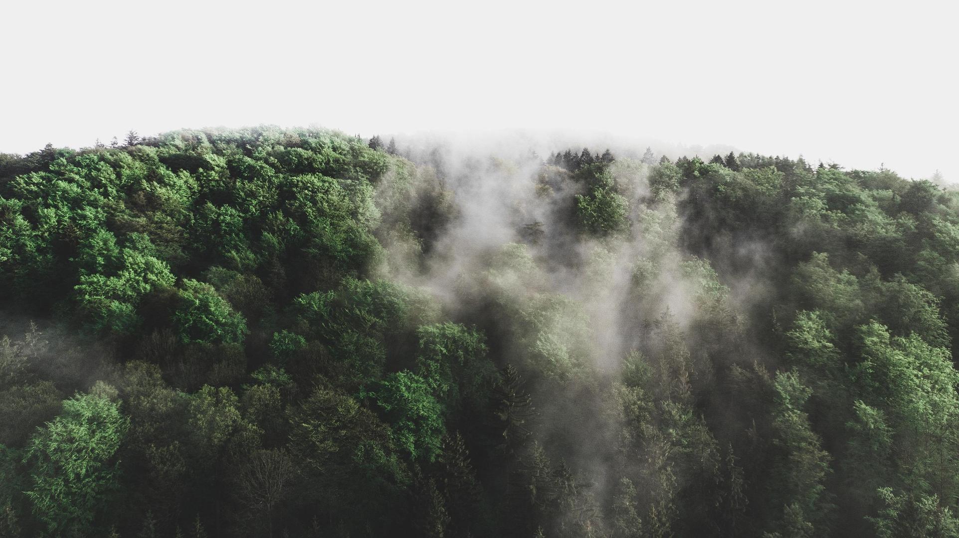 Advancing Climate Solutions That Can Scale
